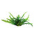 Aqua One Ecoscape Ruffled Lace Green Plastic Plant 20cm - Med (28381)