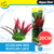 Aqua One Ecoscape Ruffled Lace Red Plastic Plant 20cm - Med (28384)