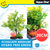 Aqua One Ecoscape Hygro Tree Green Plastic Plant 20cm - Med (28389)