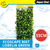 Aqua One Ecoscape Lobelia Mat Green 17W x 5D x 33H cm (28441)