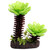 Reptile One Succulent Tree With Sand Base Medium (46775)