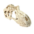 Komodo T-Rex Skull Large