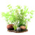 Aqua One Bettascape Hornwort Fern Rock Garden Green Plastic Plant (28167)
