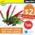 Aqua One Ecoscape Ferns On Driftwood Red And Green (28472)