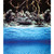 Aqua One Background Sea View/Rock & Wood Double Sided 48cm (Per Metre) (10516)