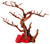 Aqua One Hermit Crab Climbing Branches & Red Rock Ornament 24.5x18x19cm (37174R)
