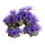 Aqua One Purple Garden Ornament 18x11x13cm (36904)