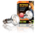 Exo Terra Intense Repti Basking Spot Lamp Kit 75W (3pc)