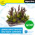 Aqua One Ecoscape Driftwood on Rock Garden Large (37940)