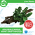 Pisces Live Plant Anubias Nana - Mini Driftwood