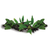 Pisces Live Plant Medium Driftwood Anubias -  4 Pack