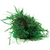 Pisces Live Plant Fontinalis Topiary Balls