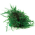 Pisces Live Plant Fontinalis Topiary Balls