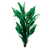 Pisces Live Plant Blue Stricta Emerse Grown Plants (110312)