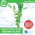 Pisces Live Plant Green Pennywort Emerse Grown Plants (110350)