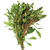 Pisces Live Plant Pink Ivy Emerse Grown Plants (110390)