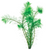 Pisces Live Plant Filigree Milfoil Tank Grown Plants (110145)