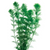 Pisces Live Plant Giant Ambulia Tank Grown Plants (110150)