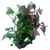 Pisces Live Plant Ludwigia Tank Grown Plants (110195)