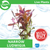 Pisces Live Plant Narrow Ludwigia Tank Grown Plants (110225)