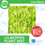 Pisces Live Plant Lilaeopsis Mats Plant Mats (110747)