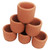 Pisces Live Plant Terracotta Pot 3cm Pack Of 10 (110941)