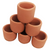 Pisces Live Plant Terracotta Pot 3cm - Pack Of 50  (110942)