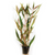 Pisces Live Plant Telanthera - 5cm Pot (110431)