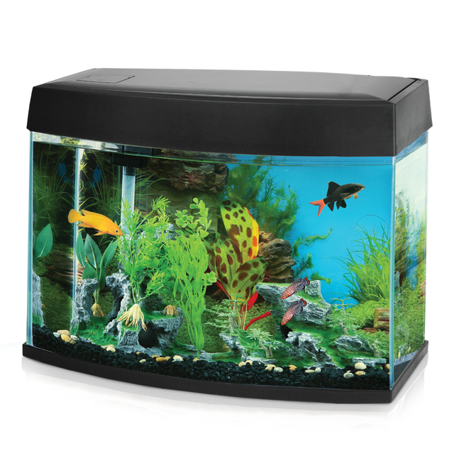 Aquatic Blue Aquariums Panoramic HD Aquarium Spare Parts
