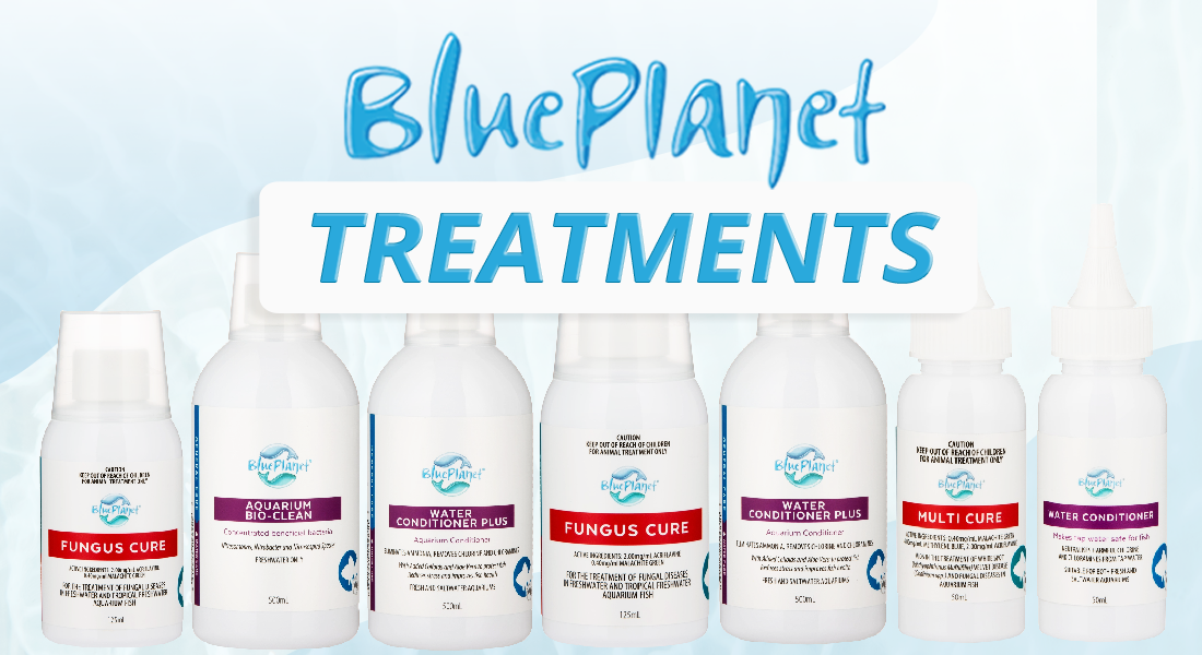 Blue Planet Aquarium Kit 16L