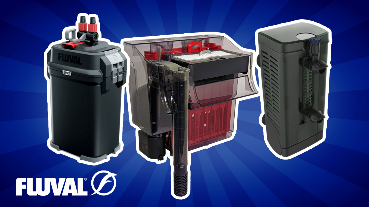 AQUARIUM FILTRATION Fluval Buyer's Guide Aquarium Spare Parts