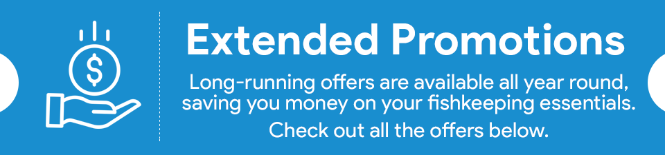 extended-promotions-email.png