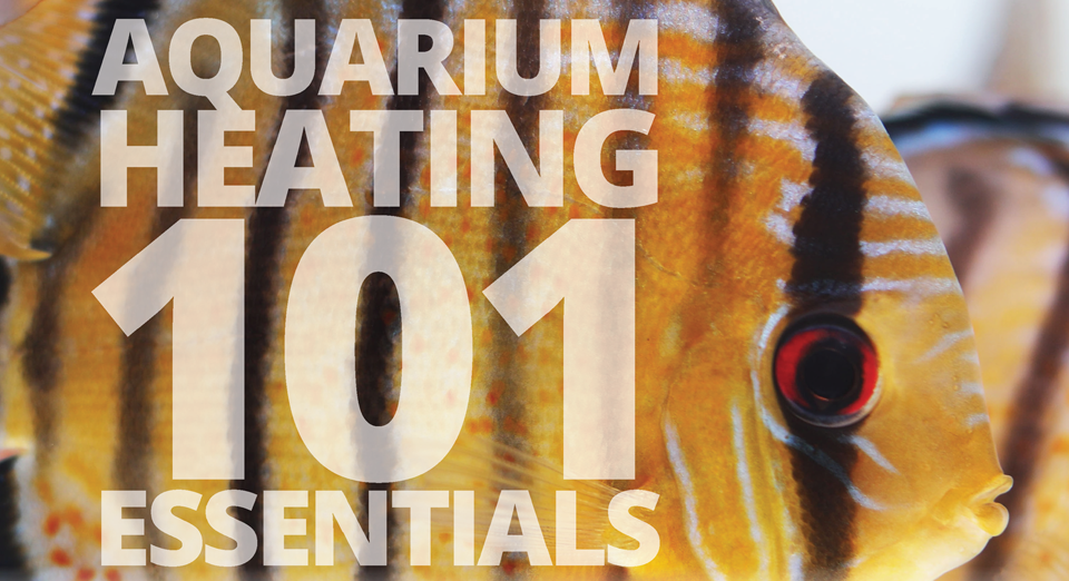 Picture of AQUARIUM HEATING 101 | Essentials - Aquarium Spare Parts