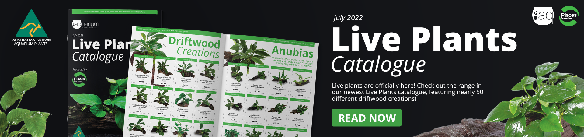 live-plants-web-banner-announcement.png