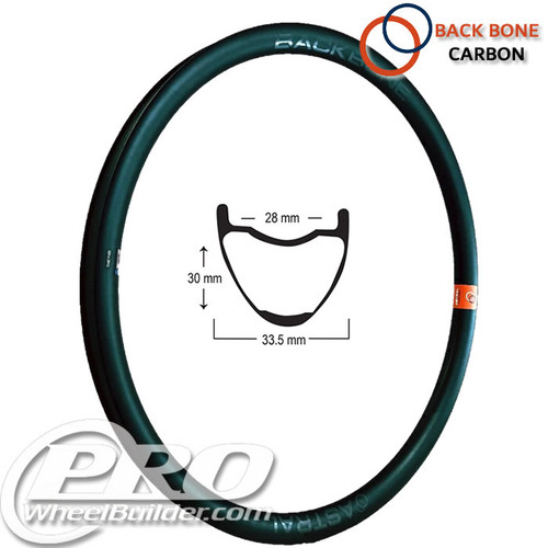 Astral Back Bone Carbon Rim