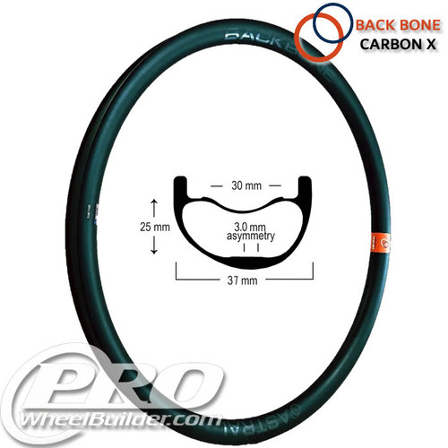 Astral Back Bone X Carbon Rim