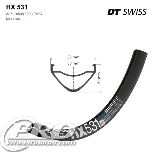 DT Swiss HX 531 Disc Brake Rim