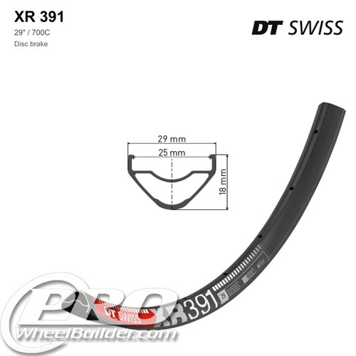 DT Swiss XR 391 Disc Brake Rim