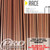 SAPIM RACE J BEND DOUBLE BUTTED 14|15|14G - 2.0|1.8|2.0MM SPOKES