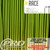 SAPIM RACE J BEND DOUBLE BUTTED 14|15|14G - 2.0|1.8|2.0MM SPOKES
