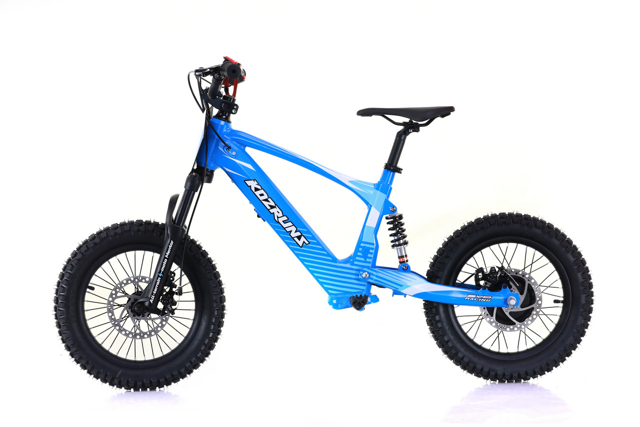 lowrider motorized bicycle Motorized Wheel Lowrider Bikes Sound System Wheel Lowrider Bikes Motorized  Bicycle Custom