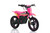 Warrior Kids SX-E500 Electric Dirt Bike