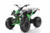SNEAKY GREEN/BLACK