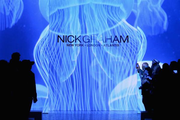 812680792-grande.jpg Jellyfish background