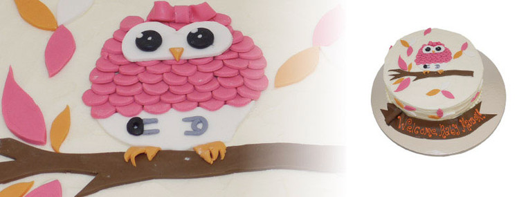Baby Shower Cake with Owl