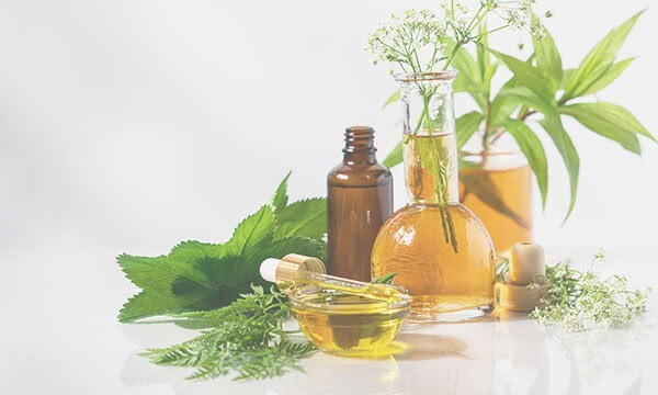 Suppléments à base de plantes