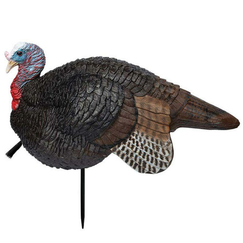 Primos Lil' Gobstopper Jake Turkey Species, Multi Color