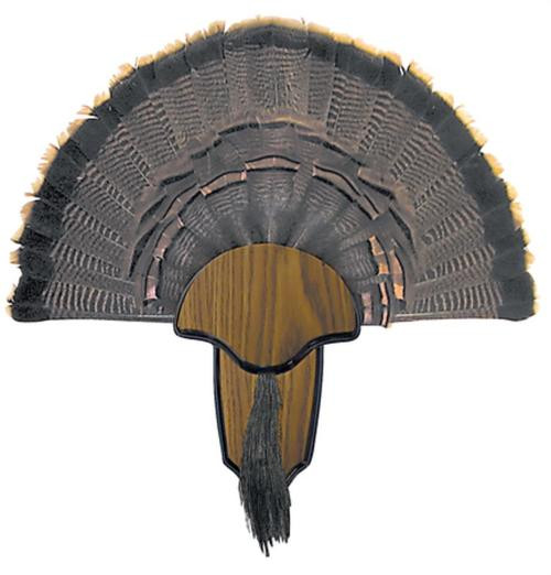 Hunters Specialties Turkey Tail/Beard Mount