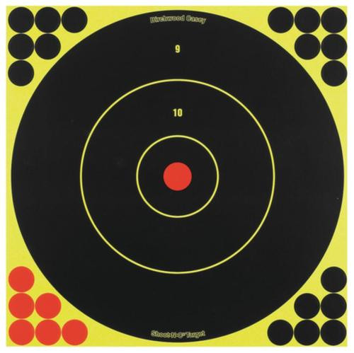 Birchwood Casey Shoot-N-C Targets 12" Round Bullseye, 12 Targets 288 Pasters