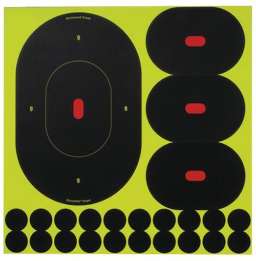Birchwood Casey Shoot-N-C Targets 5 Pack, 9"